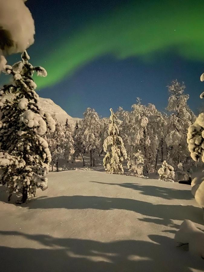 Вілла North Experience Basecamp Oteren Екстер'єр фото
